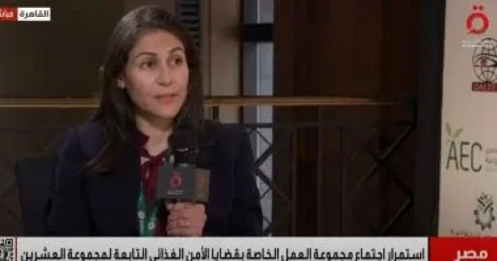 السفيرة رانيا عبد المجيد: استضافة مصر لاجتماعات مجموعة العشرين حدث استثنائي
