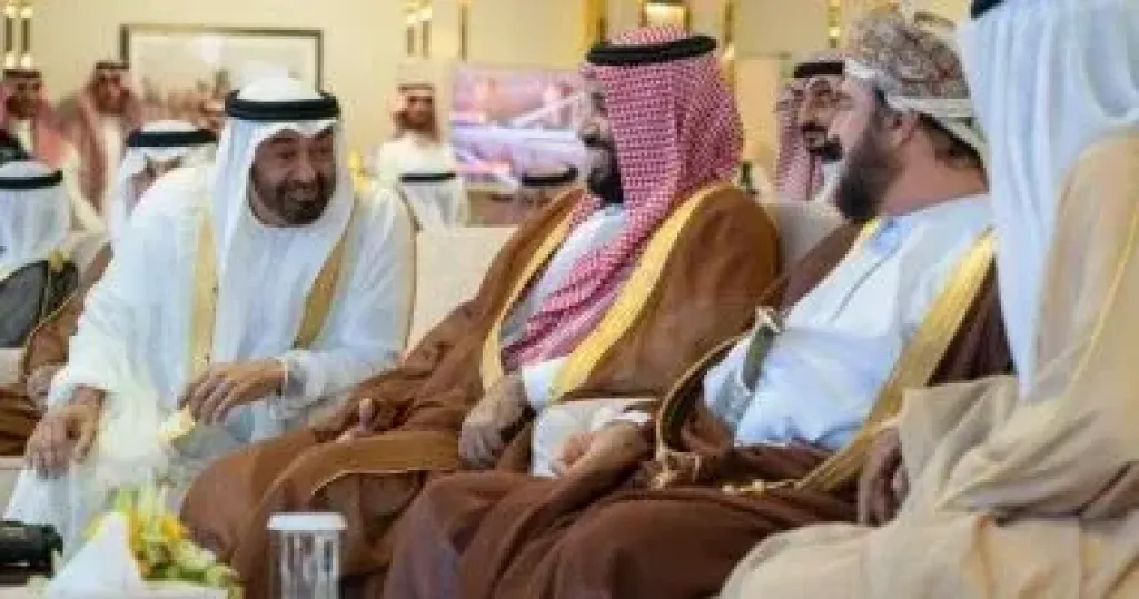 رئيس الإمارات وولي العهد السعودي يبحثان العلاقات الثنائية والتعاون والعمل المشترك