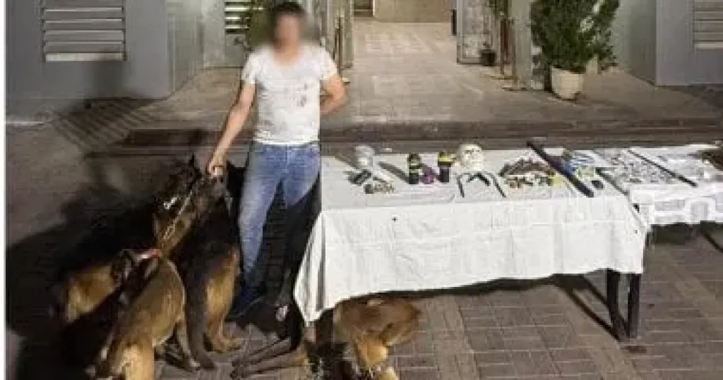 سقوط بلطجى مدينة نصر.. تاجر مخدرات أرهب الأهالى بكلاب شرسة