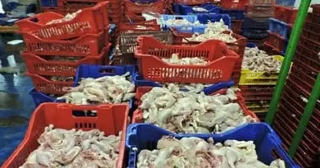 ضبط 9 أطنان هياكل ودواجن فاسدة فى حملة مكبرة لمديرية الطب البيطرى