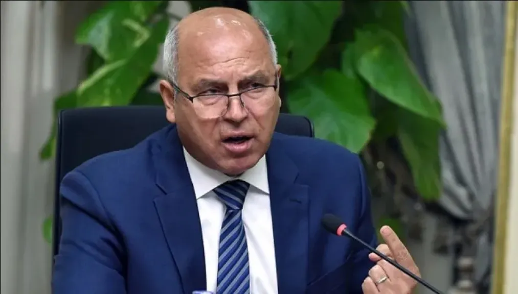 الفريق كامل الوزير يكشف خطة الدولة لدعم صناعة الحديد ورفع دخول الأسر في قفط | فيديو