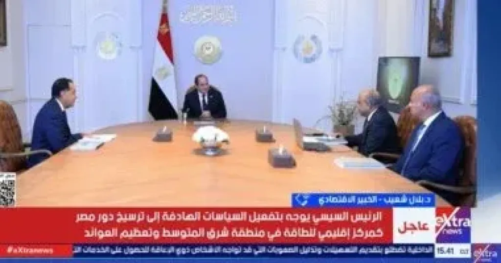 خبير: الدولة لديها خطة لزيادة حجم الطاقة وتسعى للتوسع فى قطاعى الصناعة والزراعة