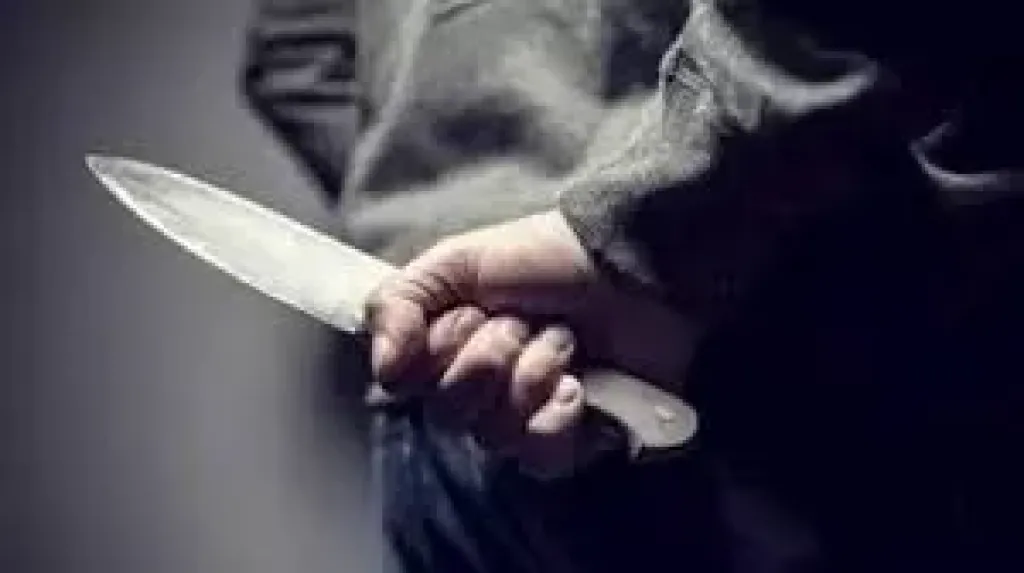 هارب ينهي حياته طعنًا بسكين أثناء محاولة ضبطه في مسطرد