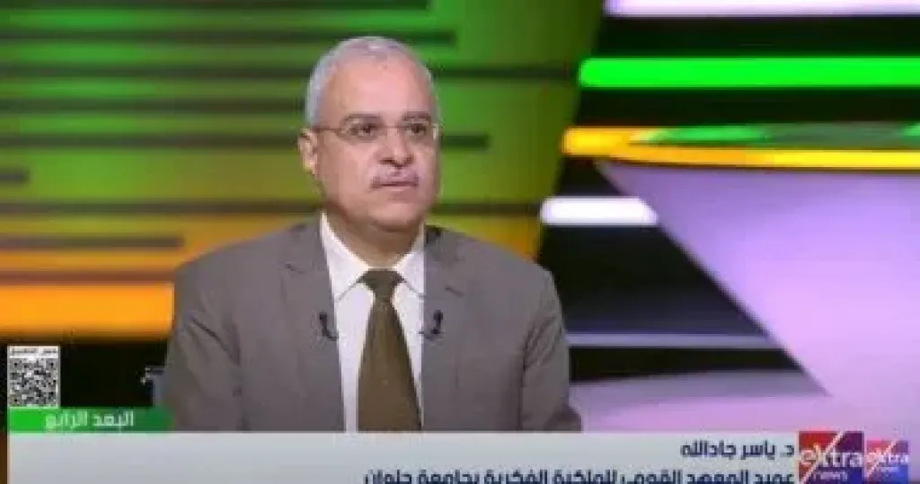 ياسر جاد الله  المحاكم الاقتصادية الملكية الفكرية  وزارة العدل