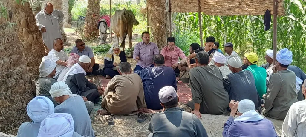 ”الزراعات التعاقدية” تواصل جهودها لتشجيع المزارعين على التوسع في زراعة المحاصيل الاستراتيجية