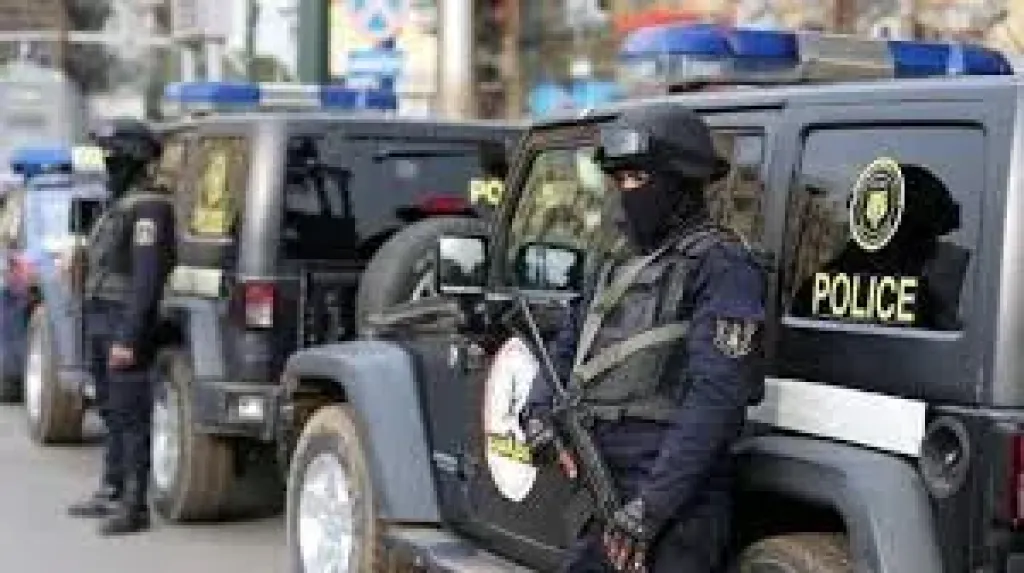 ضبط متهمة بترويج ادعاءات وهمية بشأن أعمال تنقيب آثار في المنوفية