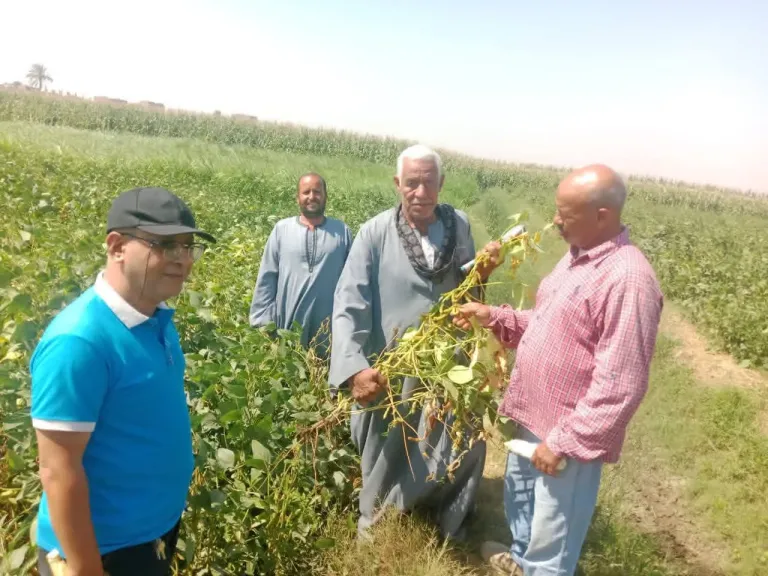 محافظ أسيوط: برامج توعية زراعية لتعظيم الاستفادة من المخلفات