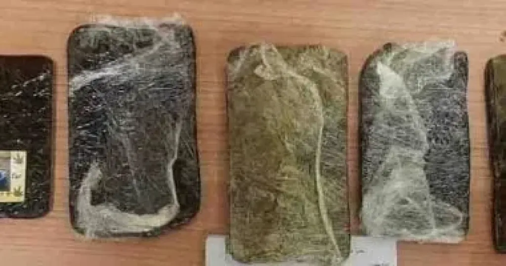 السجن 15 سنة وغرامة 200 ألف جنيه لتاجر حشيش فى كفر الشيخ