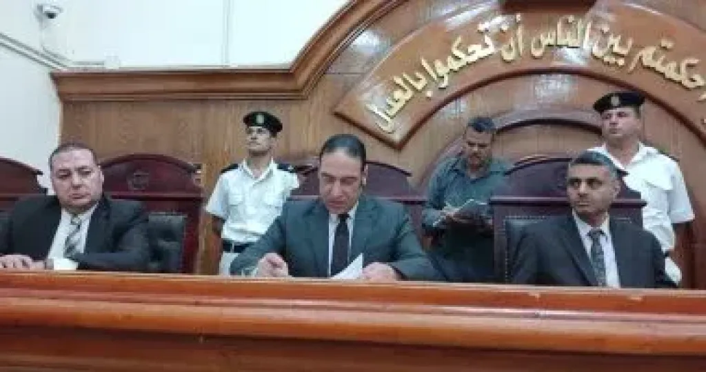 المشدد 10 سنوات لسيدة فى الشرقية