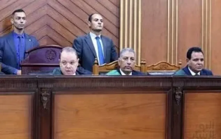 نظر محاكمة المتهمين بالخلية الإعلامية اليوم