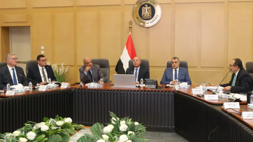 الأعلى للطاقة يناقش الإسراع في توفير ”الطاقة” لرفع القدرة لمشروعات الصناعة الاستراتيجية