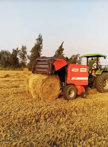 رئيس شعبة الأرز: مخزون استراتيجى يكفى 9 أشهر واستقرار الأسعار خلال رمضان