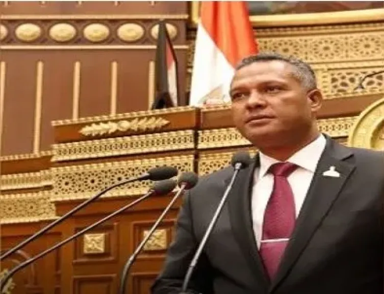 النائب محمد حمزه: دعوة السيسي لتوحيد الصف العربي والإسلامي خطوة فارقة للتاريخ