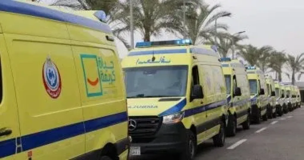 إصابة 12 شخصا بعقر كلب ضال فى قرية بالصف