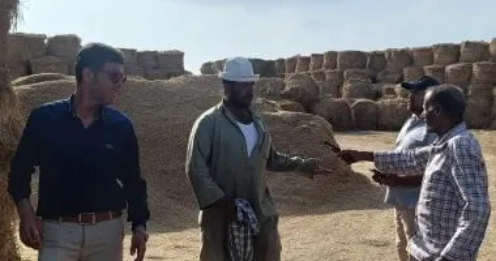 لجنة برئاسة نائب محافظ الدقهلية تتابع أعمال التصدى لحرق قش الأرز بالزراعات