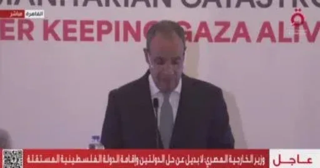 وزير الخارجية: إسرائيل تسعى إلى تصفية القضية الفلسطينية