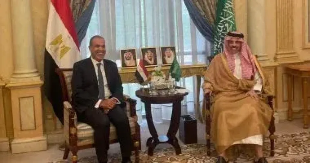 وزير الخارجية يبحث مع نظيره السعودى لبحث التطورات الإقليمية