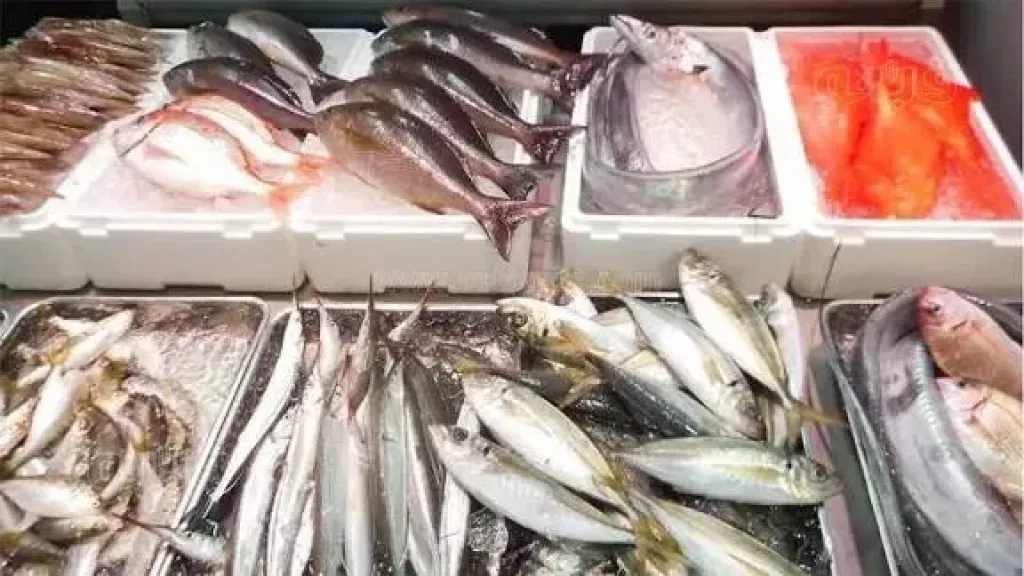 سعر السمك اليوم، البوري والكابوريا بـ 240 جنيها والبلطي يصل إلى 80 بعد الارتفاع