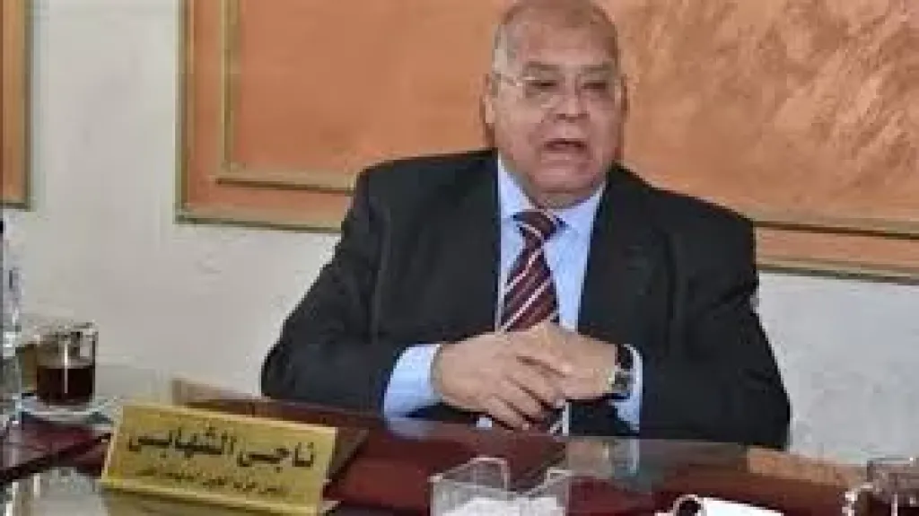 الشهابى: ”قرار وزير العدل  بتوفير 200 ألف إقرار ذمة مالية أنقذ العملية الانتخابية ورسخ حياد الحكومة”