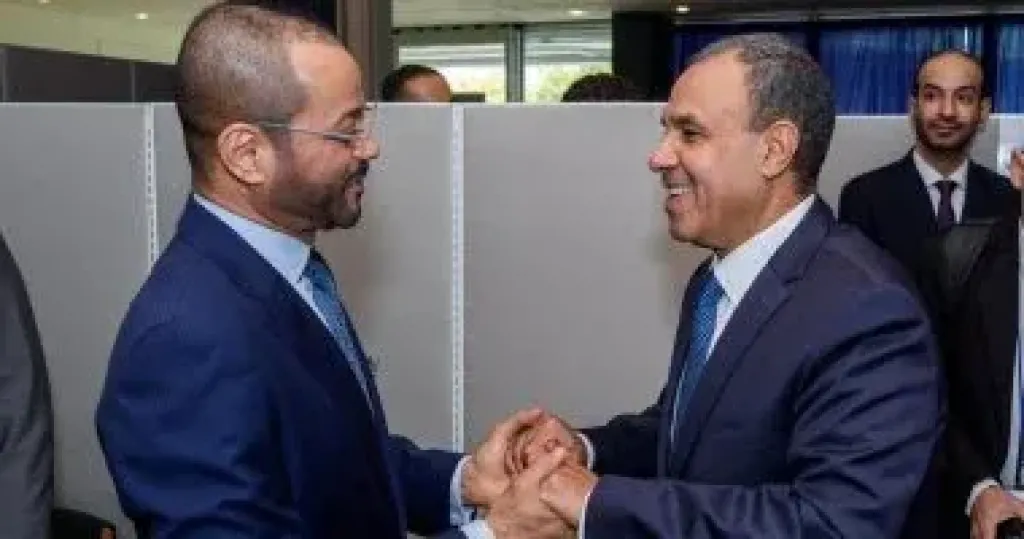 وزير الخارجية: أمن الخليج جزء لا يتجزأ من الأمن القومى المصرى