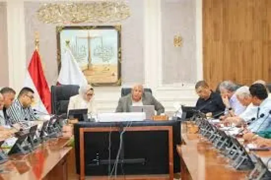 4 تكليفات من محافظ الوادي الجديد خلال متابعة موقف ملفات التقنين والتصالح