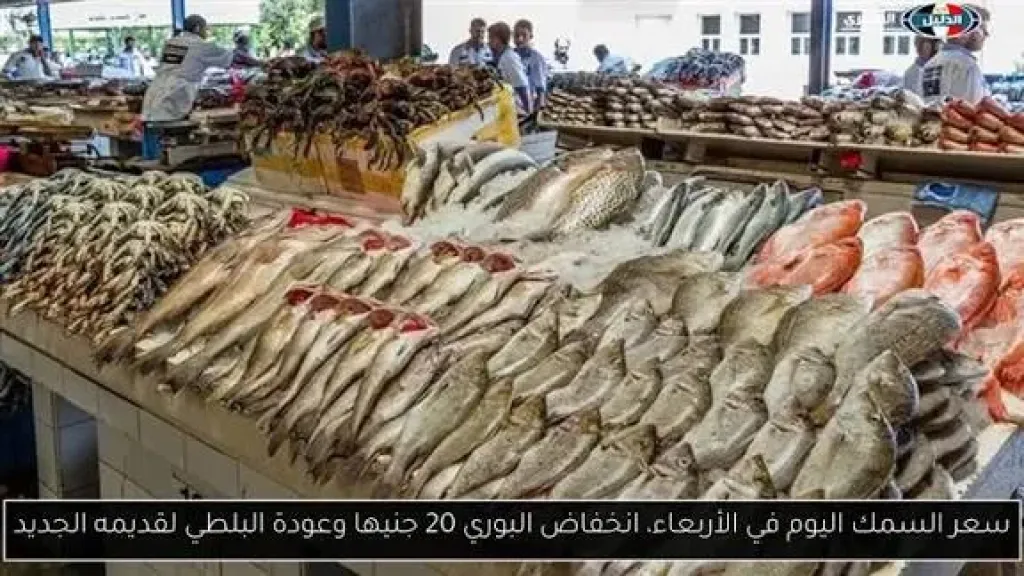 سعر السمك اليوم في الأربعاء، انخفاض البوري 20 جنيها وعودة البلطي لقديمه