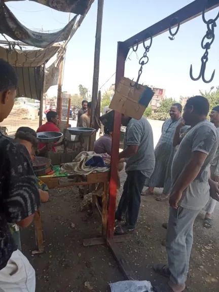 محافظ أسيوط: ضبط لحوم مذبوحة خارج المجازر وتحرير 343 محضرًا