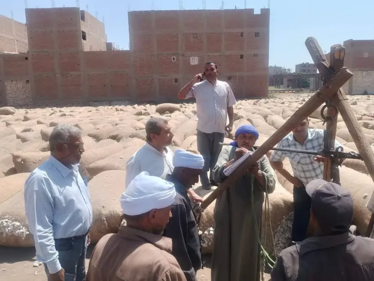 محافظ أسيوط:   منظومة تسويق القطن وتقديم التسهيلات للمزارعين