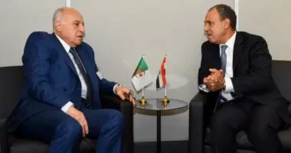 وزير الخارجية يؤكد أهمية دعم مسار الحل الليبى– الليبى وصولاً للانتخابات