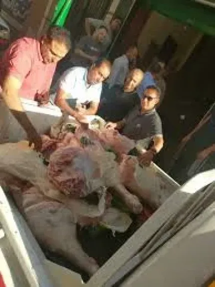 ضبط 200 كيلو مجزئات دجاج ولحوم فاسدة داخل مطعم بالإسماعيلية