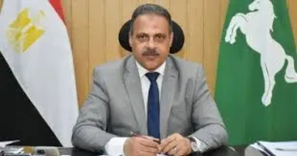 محافظ الشرقيه