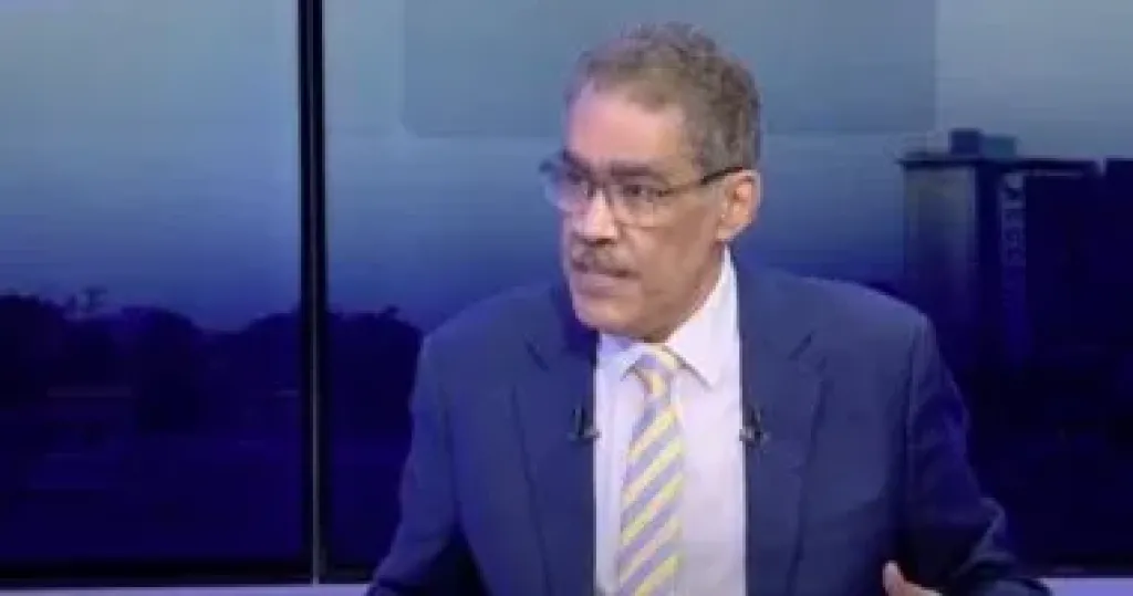 ضياء رشوان 
