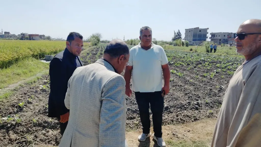 وكيل وزارة الزراعة يعمل جاشنى على زراعات الذرة والأرز بالبحيرة