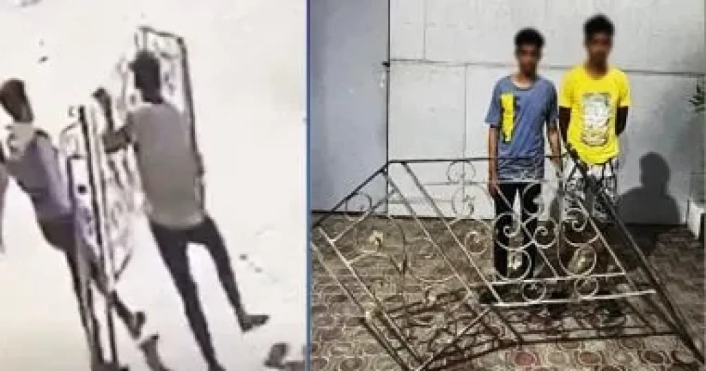 فيديو يفضح لصَّين سرقا حديد سلم منزل بالشرقية.. والداخلية تتحرك