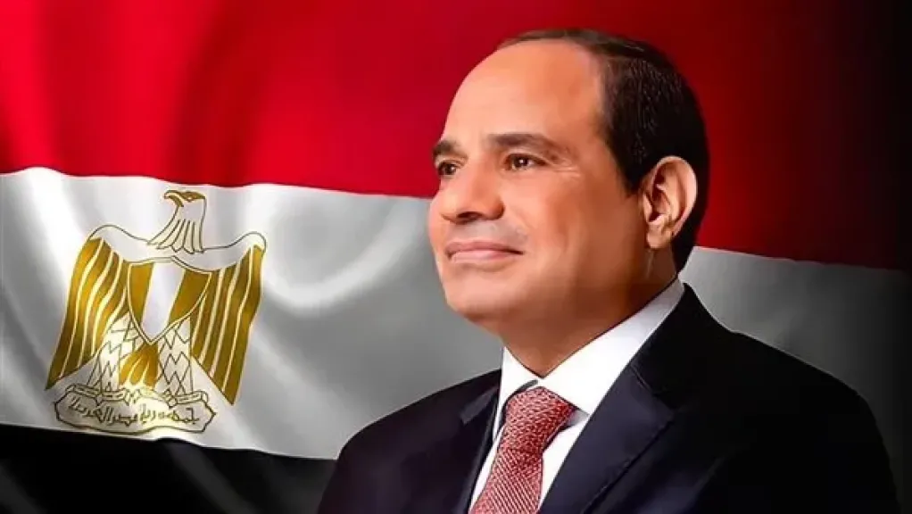 الرئيس السيسى يتابع توفير التغذية الكهربائية للمشروعات الزراعية الجديدة لجهاز مستقبل مصر