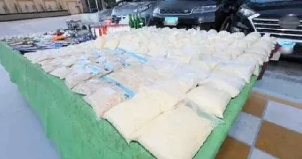 تأجيل محاكمة سارة خليفة و27 آخرين بقضية تصنيع المخدرات إلى 15 نوفمبر