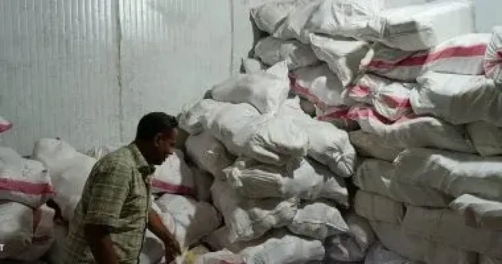 المضبوطات 