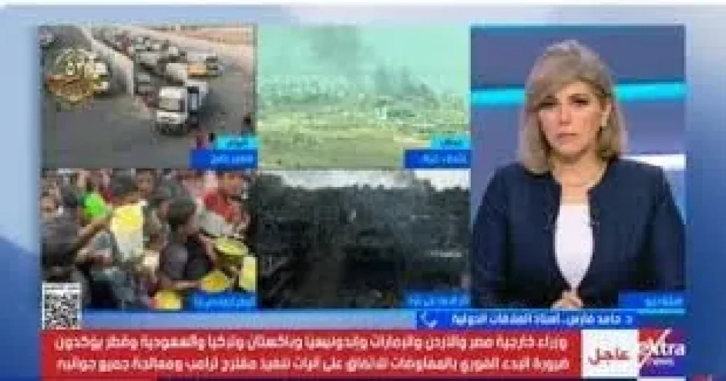 أستاذ علاقات دولية: التحرك العربى الإسلامى يدعم مسار سلام جديد.. ورد حماس ”خطوة ذكية”