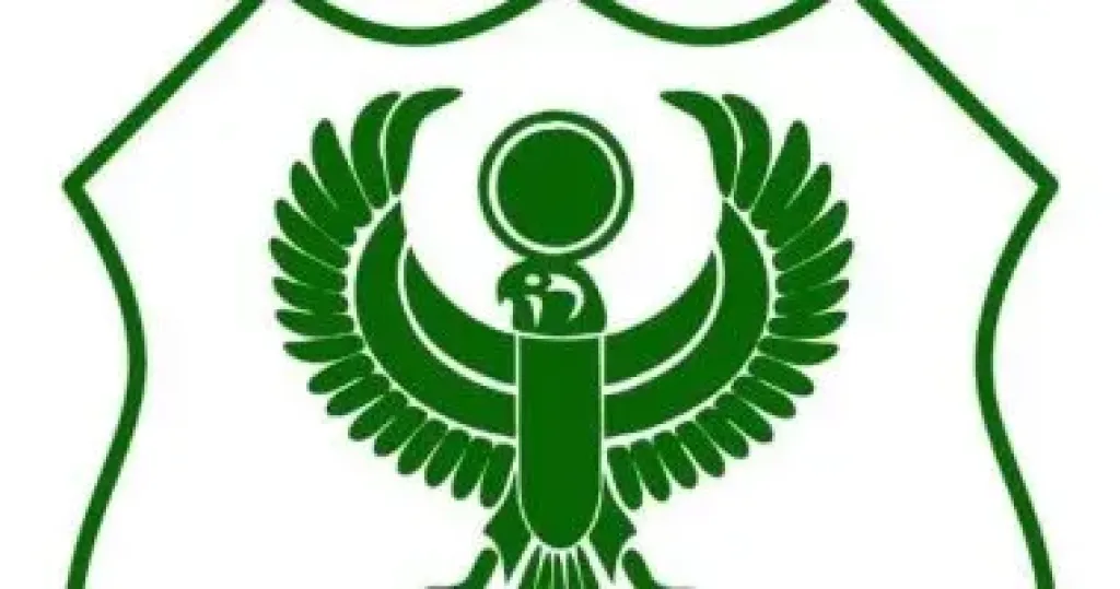 النادى المصرى