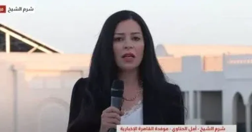 أمل الحناوي  