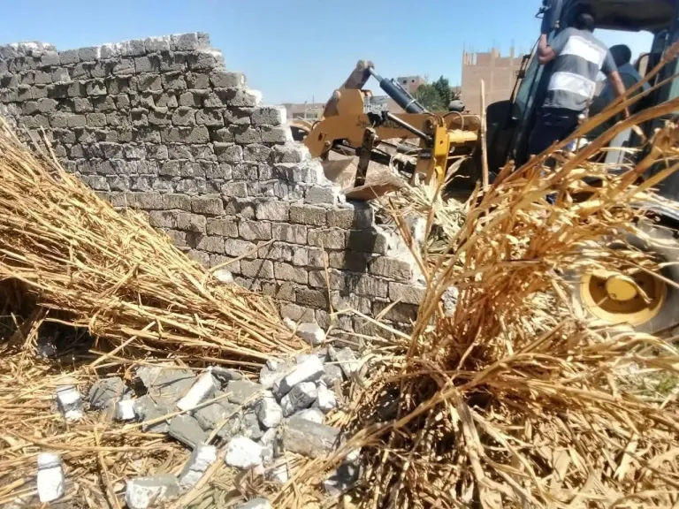 محافظ أسيوط: إزالة 41 حالة تعدي واسترداد 582 فدان أملاك دولة