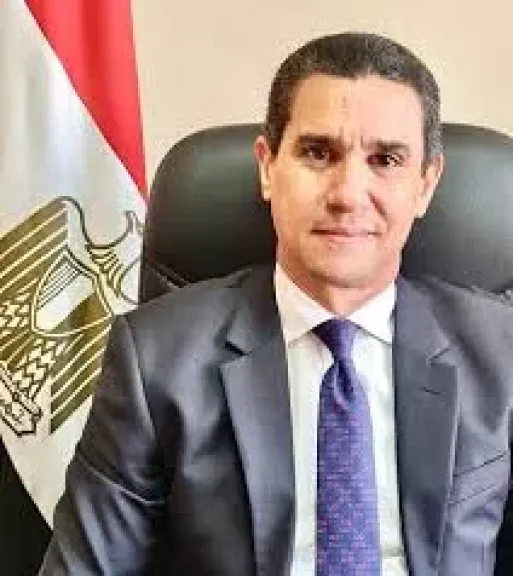 سفير مصر باليابان يؤكد أهمية تضافر الجهود مع الجالية لتعزيز الشراكة الاستراتيجية