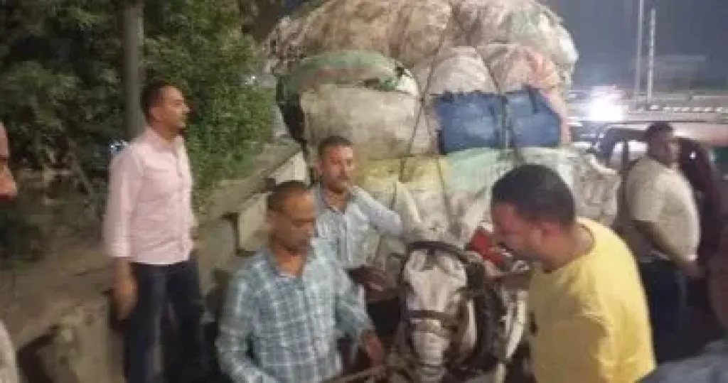 محافظة الجيزة تشن حملة على الفريزة والعربات الكارو فى بولاق الدكرور