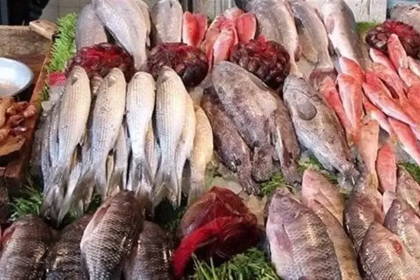 ضبط 5 أطنان أسماك غير صالحة للاستهلاك الآدمي فى فوة بكفرالشيخ