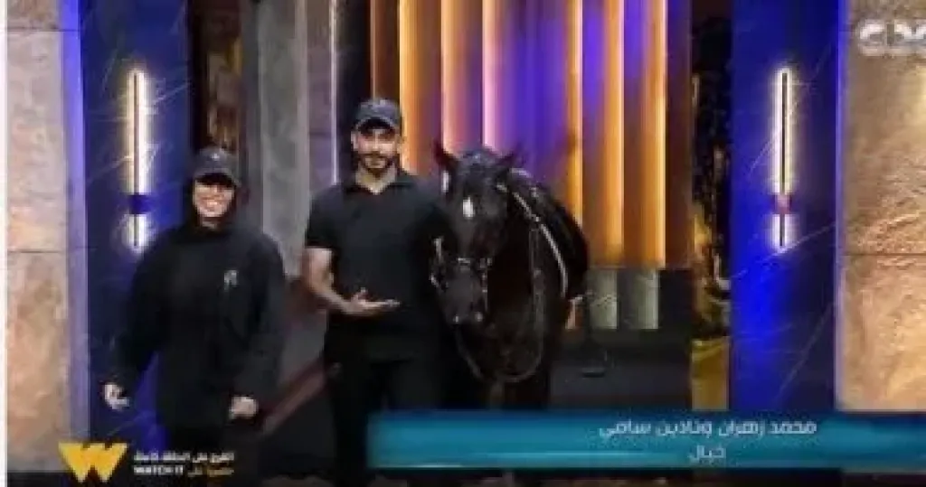 صاحبا مشروع KHAYAI لـ شارك تانك: تطبيق لتدريب وحجز وشراء وبيع الخيول