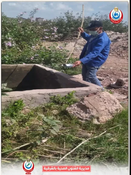 صحة الشرقية تكثف جهودها في مكافحة الذباب والبعوض وناقلات الأمراض