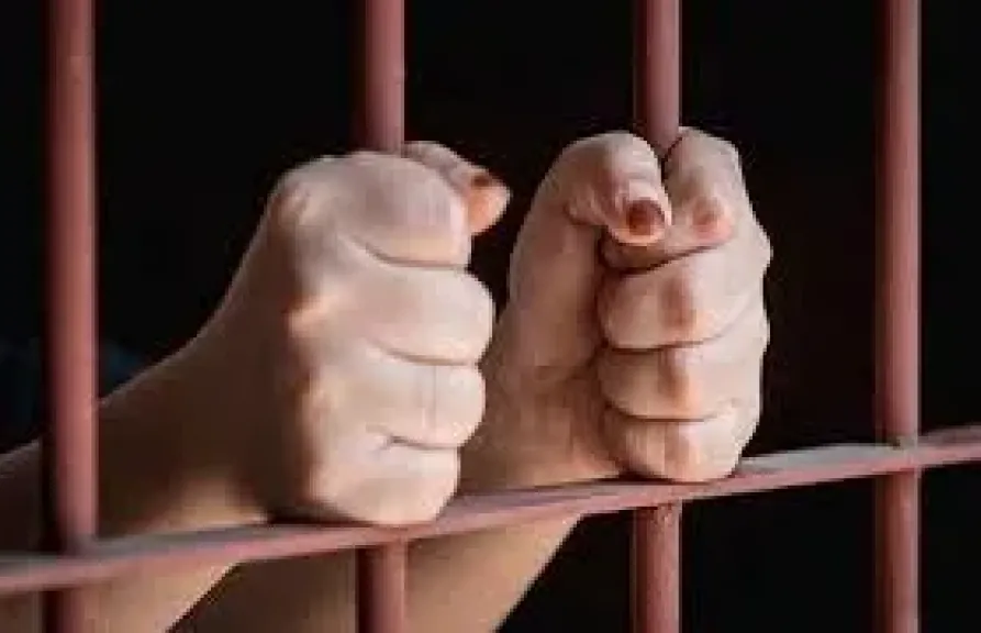 حبس 4 سيدات