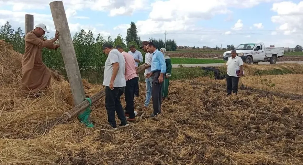 إزالة التعديات على الأراضي الزراعية بعزبة السعدي بكفرالشيخ