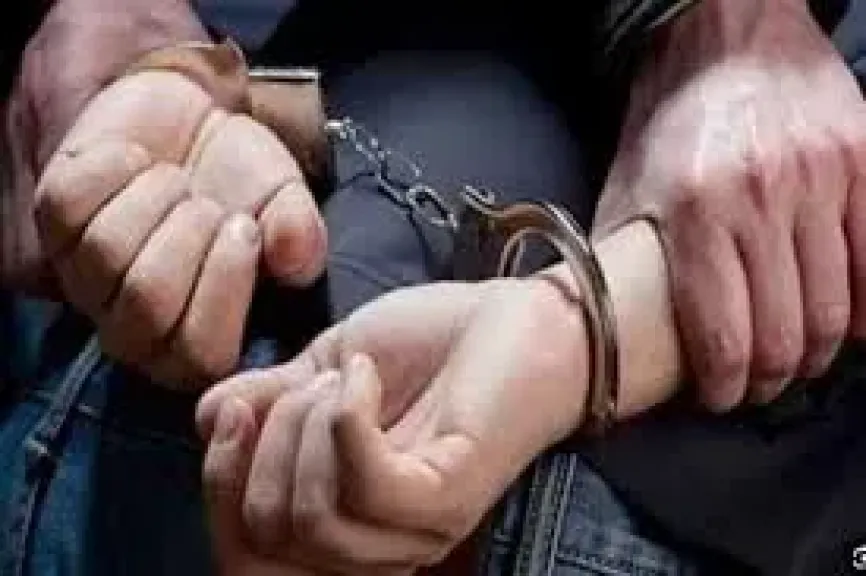نشر مقاطع فيديو خادشة.. كروان إسكندرية يواجه الحبس سنتين طبقا للقانون