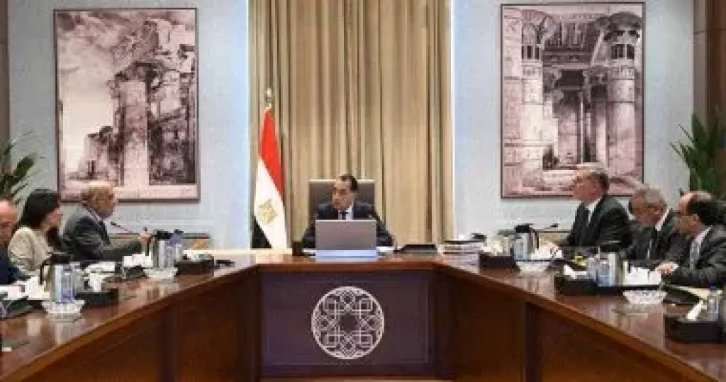 رئيس الوزراء يتابع الموقف التنفيذى لمشروعات الطاقات المتجددة